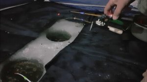 СУПЕР РЫБАЛКА НА КАРАСЯ