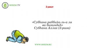 2. Шиитский намаз - обучение обеденному и послеобеденному намазу