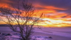 ВОСХИТИТЕЛЬНАЯ МУЗЫКА ДЛЯ ДУШЕВНОГО ОТДЫХА