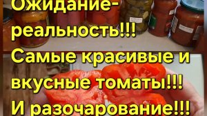 Ожидание-реальность!!!Лучшие и худшие томаты!!!!