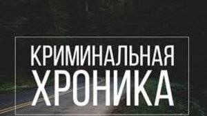 Новая криминальная хроника