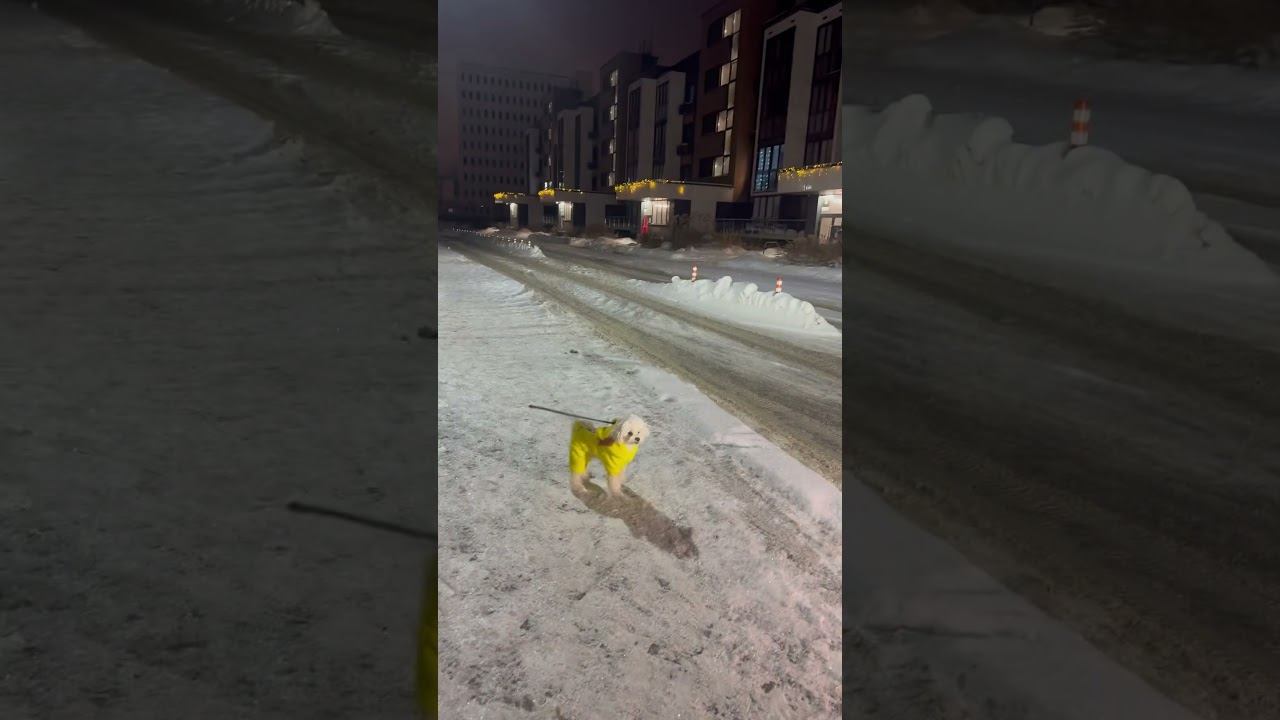 24 января 2026 г.