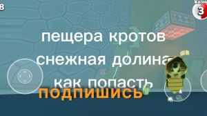 как попасть в пещеру кротов в super bear andverures