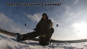 Рыбалка 23 января - ловля одновременно на 2 удочки и с неожиданными выводами!