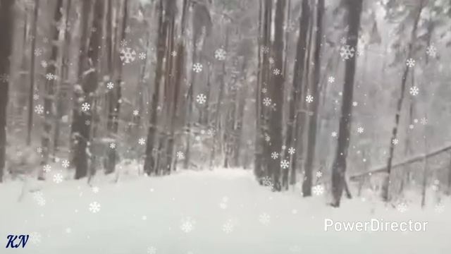 🎶А ты спроси как мне жить 🎼 смотреть онлайн