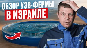 Израиль заселил рыбу в пустыню — результат поразил весь мир!