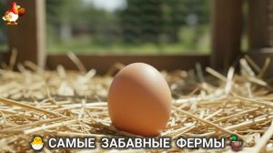 Веселые фермы и выращивание птиц, животных и растений (9)