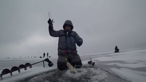 цимлянская рыбалка по судаку на меляках📽️ #рыбалка #судак #зимой #топ #природа #кайф #море #дон