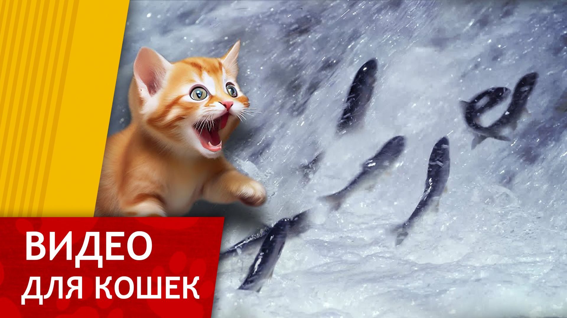 Видео для кошек - Миграция рыб (Поймай рыбку) смотреть онлайн