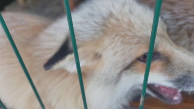 семейные разборки смотреть онлайн