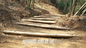 DIAZZA - Sunny Mornings_2025