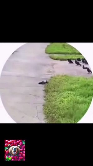 Уважительная причин