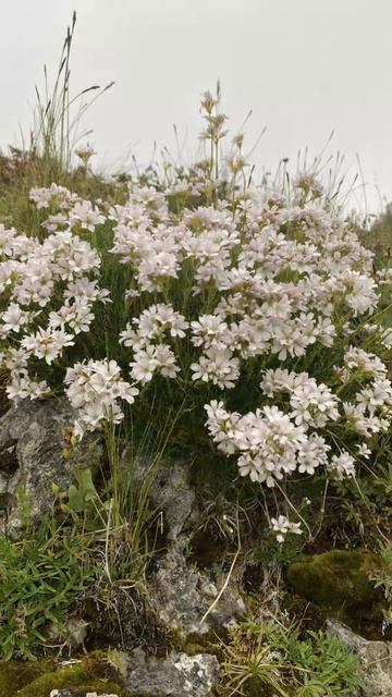 Мои путешествия