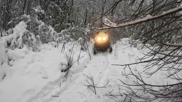 Устали пробираться через зимний лес на снегоходах Stels Viking