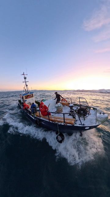 Новогоднее Путешествие на Север. Баренцево море. Охота за сиянием и китами.