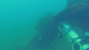 Сычики 23.09.2024