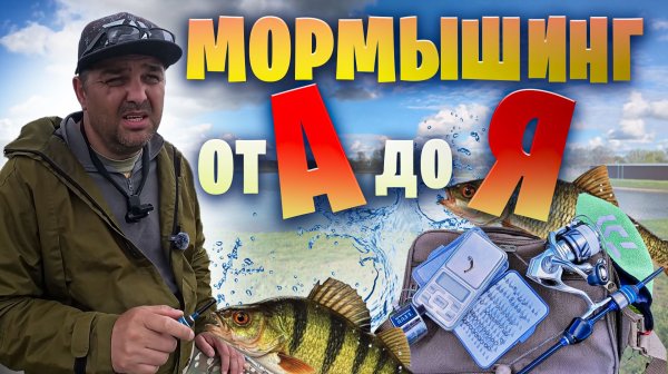 Мормышинг спиннингом: от А до Я за 20 минут| Полное руководство для начинающих. #топыкатегорий