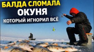 БАЛДА СЛОМАЛА ОКУНЯ, КОТОРЫЙ ИГНОРИЛ ВСЕ!!!