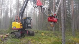 Работа харвестера, современная заготовка леса.