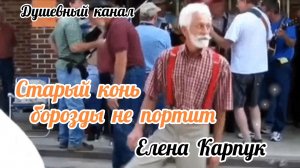 СТАРЫЙ КОНЬ БОРОЗДЫ НЕ ПОРТИТ