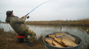 ВЕРНУЛСЯ НА РЕЧКУ ГДЕ КАРАСЕЙ ТЬМА! ЗИМНИЙ ЖОР КРУПНОГО КАРАСЯ!