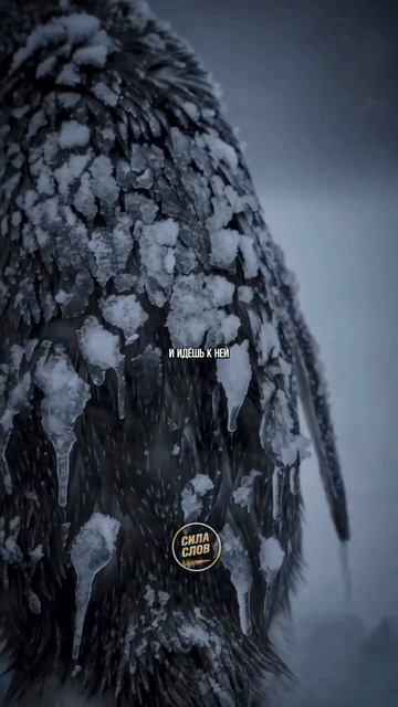 Иди к своей вершине. Мотивация одинокого пингвина смотреть онлайн