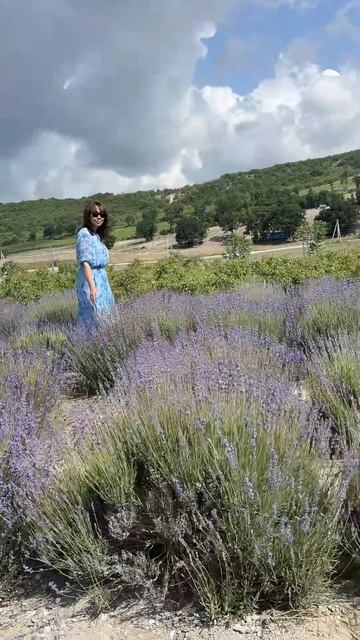 Мои путешествия