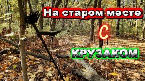 Вернулся на старое место с металлоискателем Skycruiser S63 за монетами.