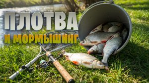 Мормышинг и ПЛОТВА ! Взрывной клёв и полный садок рыбы...
