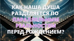 Как наша Душа разделяется по ПАРАЛЛЕЛЬНЫМ РЕАЛЬНОСТЯМ перед рождением?