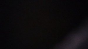 Полем вдоль берега крутого