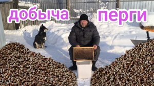 Получение перги на пасеке, простой способ. Пчеловодство Владимирской области.