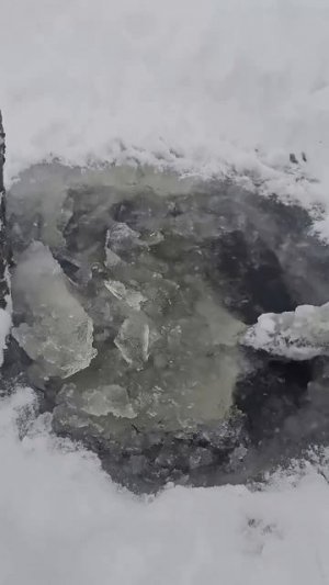 Видео от За Трофеем: Охота и Рыбалка