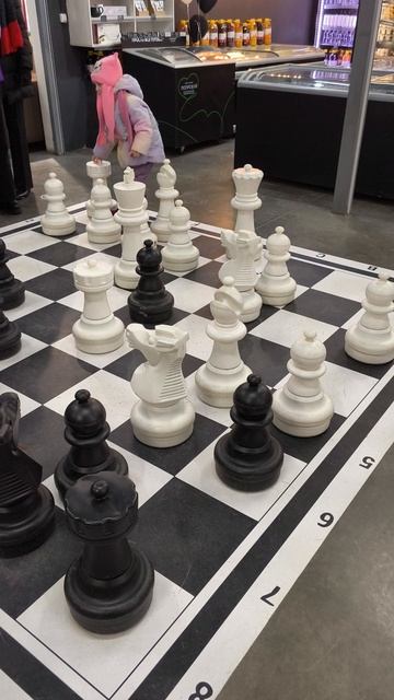 Как нужно играть в шахматы 😂 #шахматы #игры #юмор #развлечение #учимсяиграть