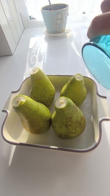 готовим дома ,быстро и вкусно,десерт