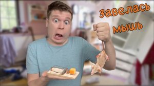 В доме завелась мышь