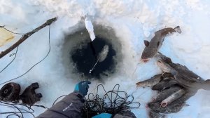 Рыбалка у чёрной дыры. Ловля налима. Тридцать девятая серия.