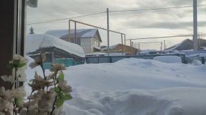 Небольшая домашняя зарисовка от 25 января