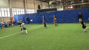 petal_20260124_202718.mp4