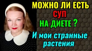 Можно ли есть супы на диете и мои необычные растения.
