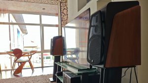 Прослушивание акустической системы Swan M500.