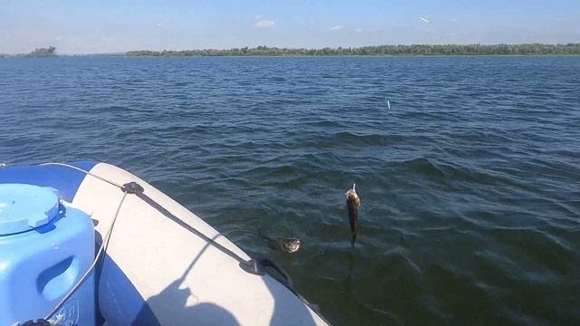Рыбалка на Волге Жерех. ЧАСТЬ 2