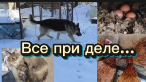 Все при деле😊 на улице за - 20 градусов