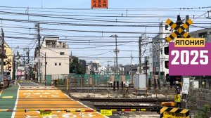 Ж/д переезды. Япония (2025) 🚂 Железная дорога