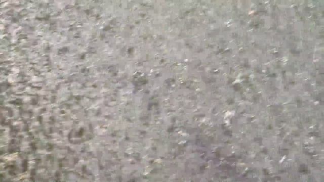 Cолонцово 2025