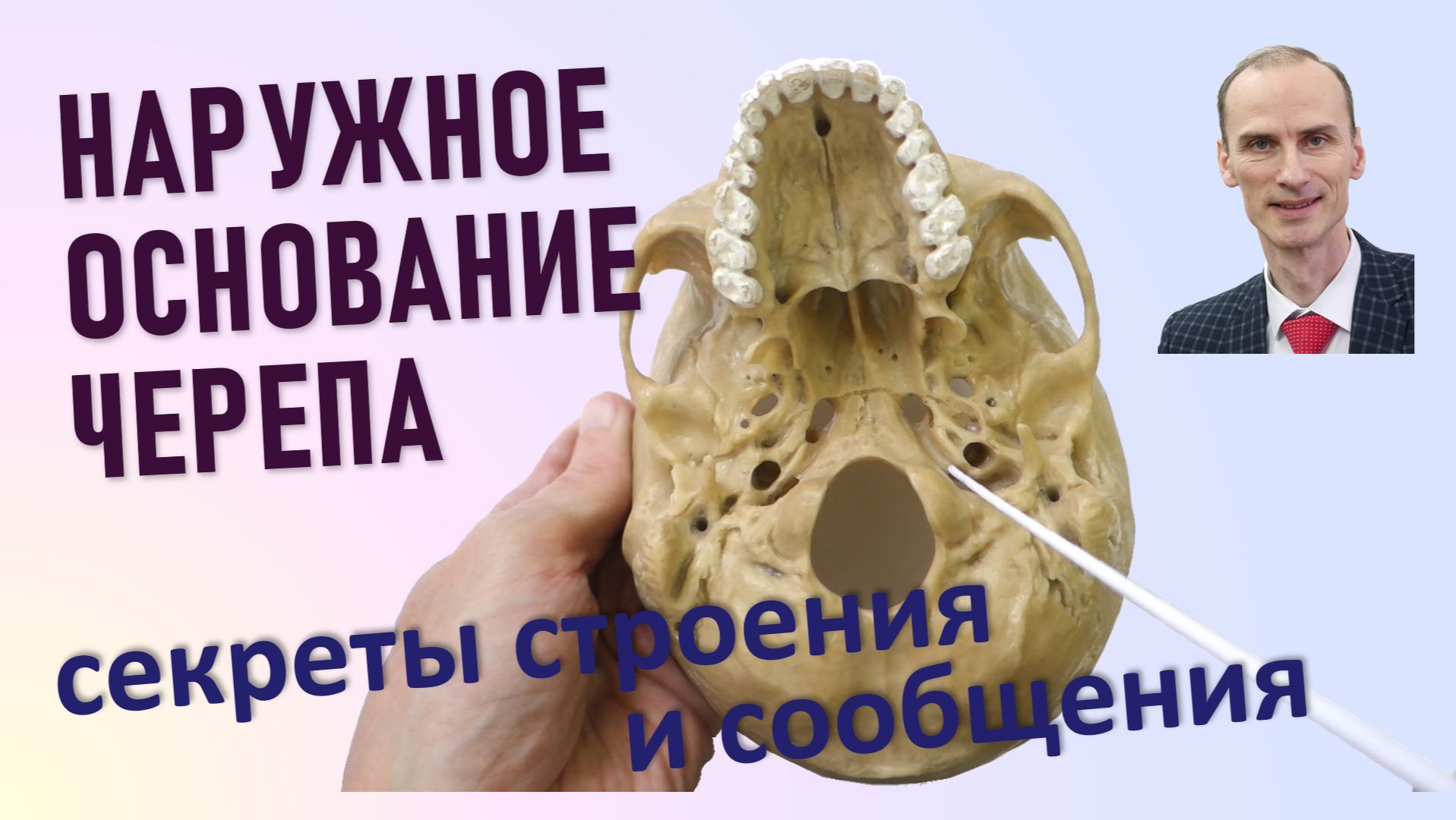 Наружное основание черепа