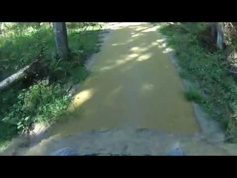 Гряземес, кошкино болото