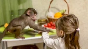 ВЕСЕЛО! Ангелина с Люсей и носухами ДЕЛЯТ ПРОДУКТЫ)))