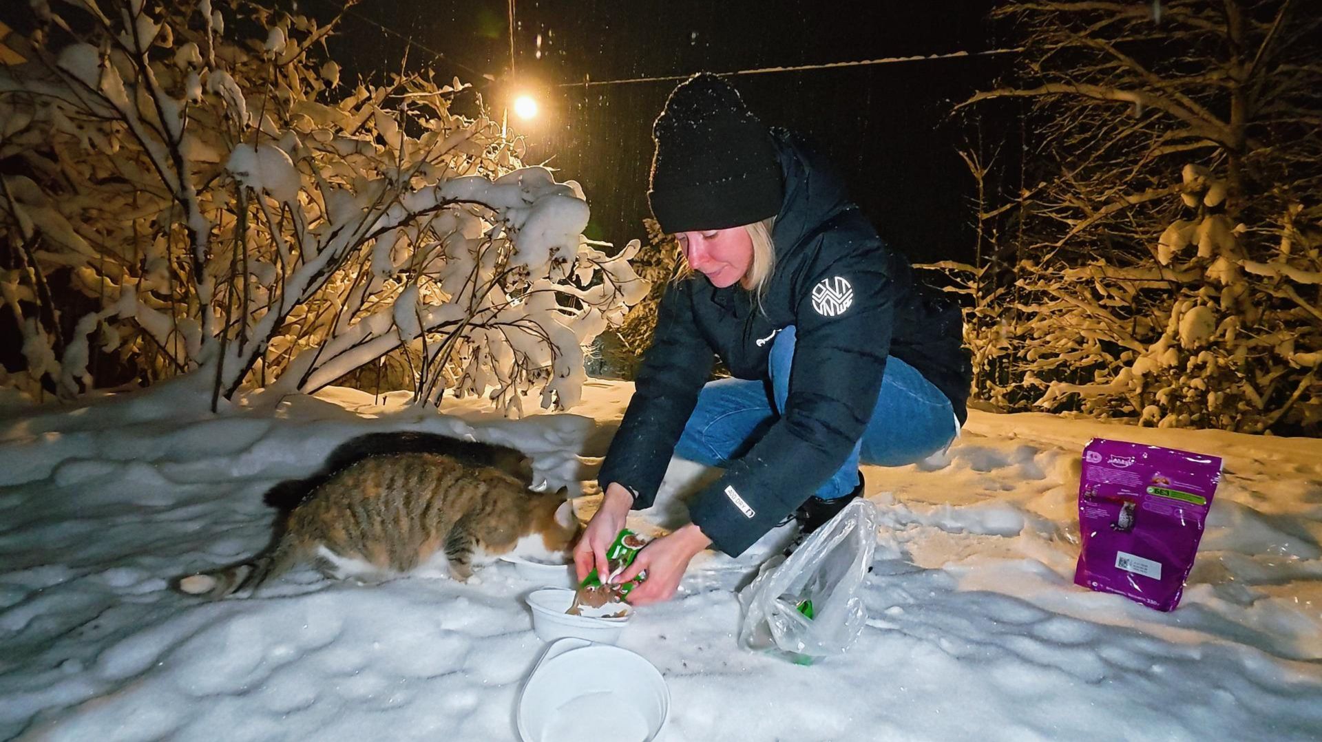 Сергей и Алиса | История двух сердец | Дачные видеозарисовки | День Добрых Дел | 04.01.2026