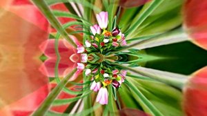 Татьянин день!!! Поздравление с Праздником 4 от Киностудии Мудрого Кота Тимофея!!!